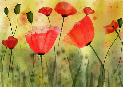 coquelicots2