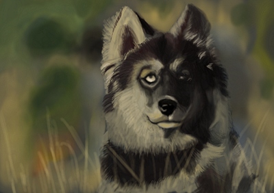 dog
