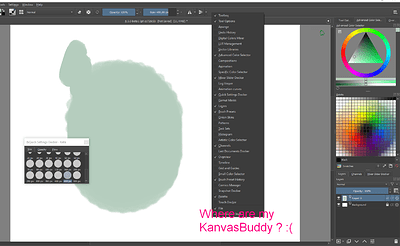 KANVASBUDDY_doesnt_show_later