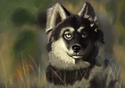 dog2