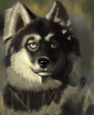 dog3