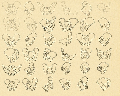 72902628_10157691133029919_6615556534258630656_o