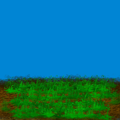 NewHerbalPatch