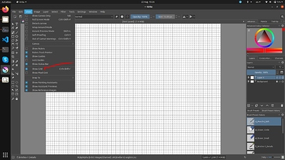 show-grid-option