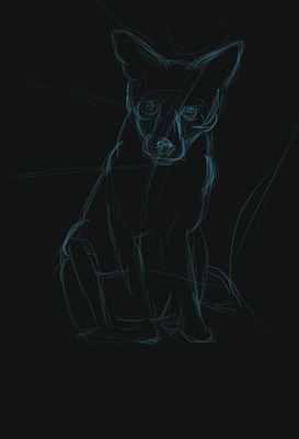 20200112 - fox - 1) sketch