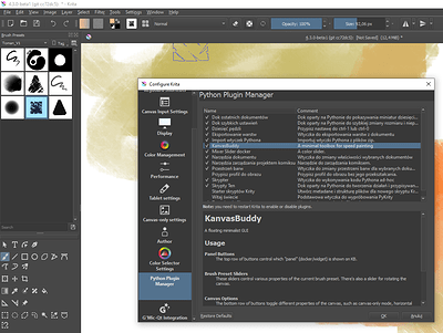 KANVASBUDDY_doesnt_show_later