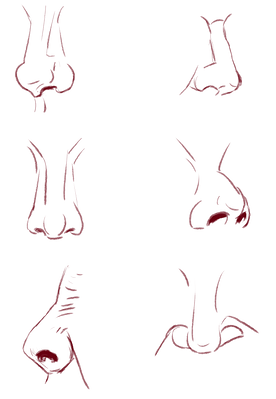 FireShepherd_2024_NosePracs_02