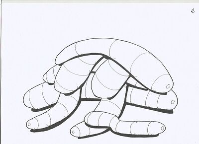 organic-intesections2