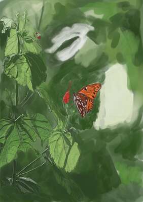 fritillary-turkscap-4031-2_small