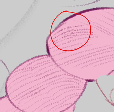 Screenshot from 2022-11-05 15-56-28