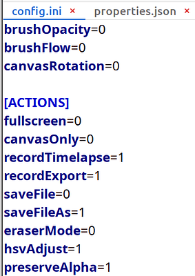 shows recorder settings in ACTION config ini