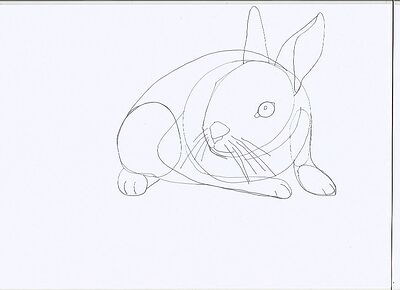 rabbit1