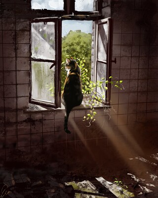 Cat in Window