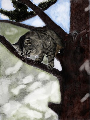 gatto-bello-finale