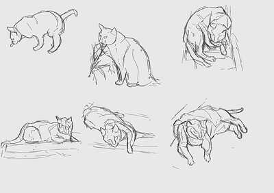 cat-sketches-082723_small