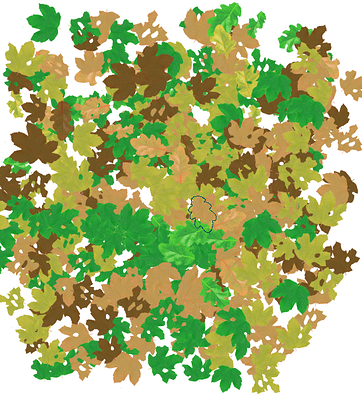 Play With Leaves