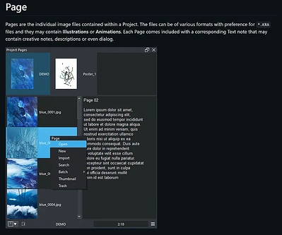 Project Pages - WIKI cut-out