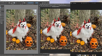 Capture d’écran 2022-11-13 004142