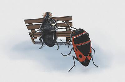 ruach ontmoet een bromvlieg