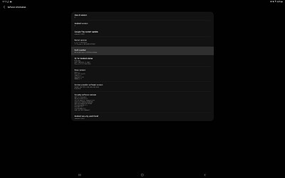 Screenshot_20210215-211316_Settings