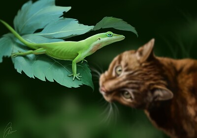 Cat n Lizard
