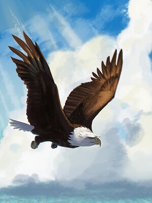 Full Body Bald Eagle