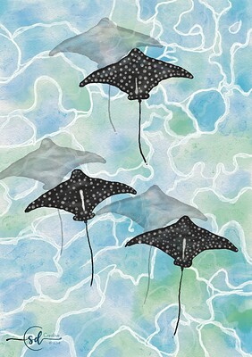 Krita Challenge 1224 - Spotted Rays