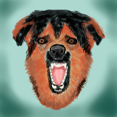 angry dog