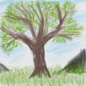 colorpencil-tree-comp