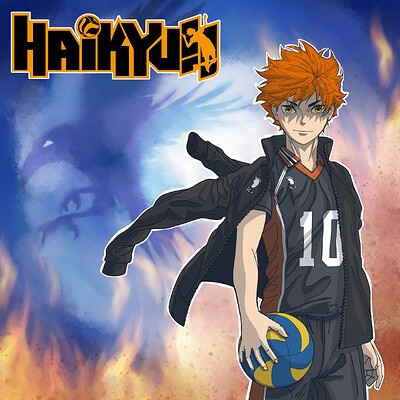 haikyu fin