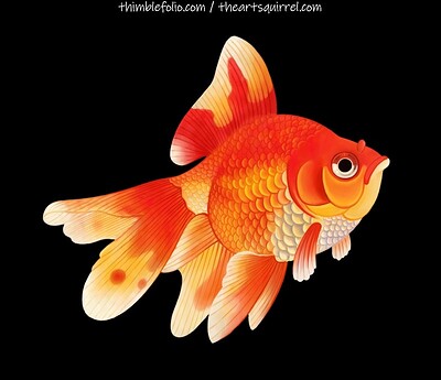 goldfish1crop2bgweb_compressed