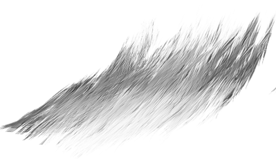 effect created fur