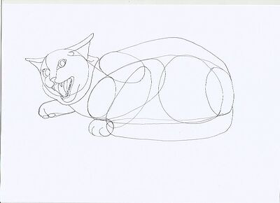 cat4
