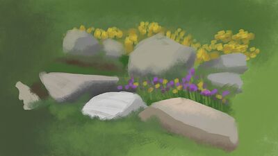 Study of Rocks 1