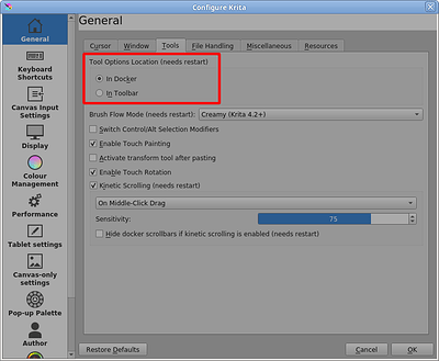 Tool Options options