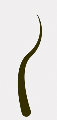 Screenshot 2025-11-01 105349