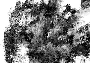 DigiInkblot3