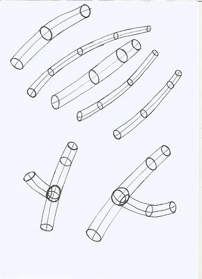 branches