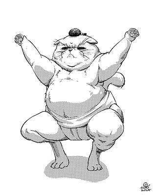 CatFighter01-04