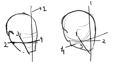 Brigman-fourth-line-method-of-head-construction-1070884238