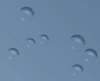 Raindrops