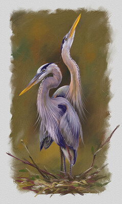 heron13