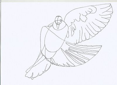 bird2