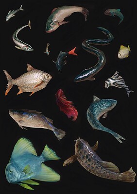 impasto_fish__black