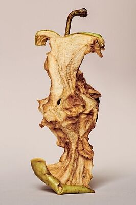 937a199ebbb8c47fd872ac1eeef0bf29