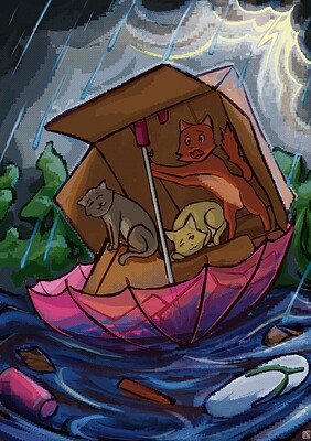 cats and flood
