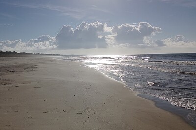 IMG_20221025_094906779
