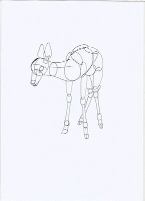 deer2