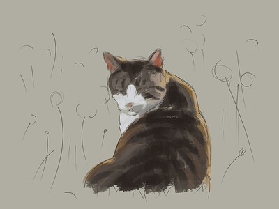Cat and Plant2