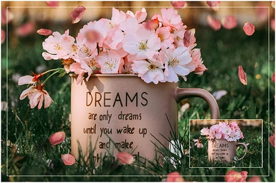 Cute Pink Petals (2)